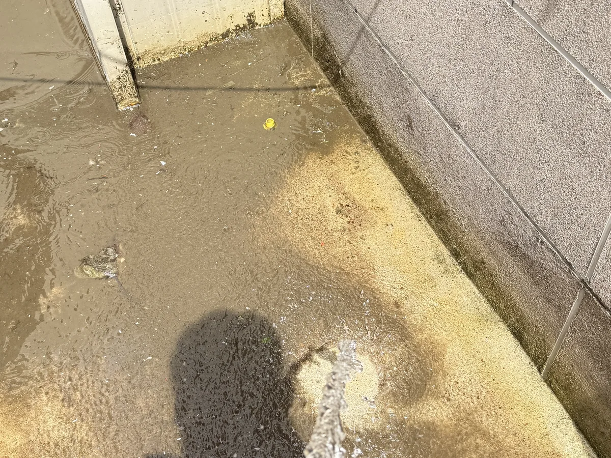 북구 사수동 배관 관리실·기계실 위생청소 사례 - 행진크린